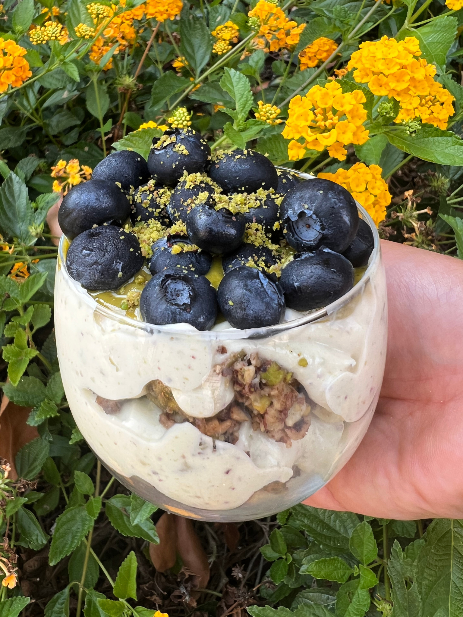 Pistachio Yogurt Parfait
